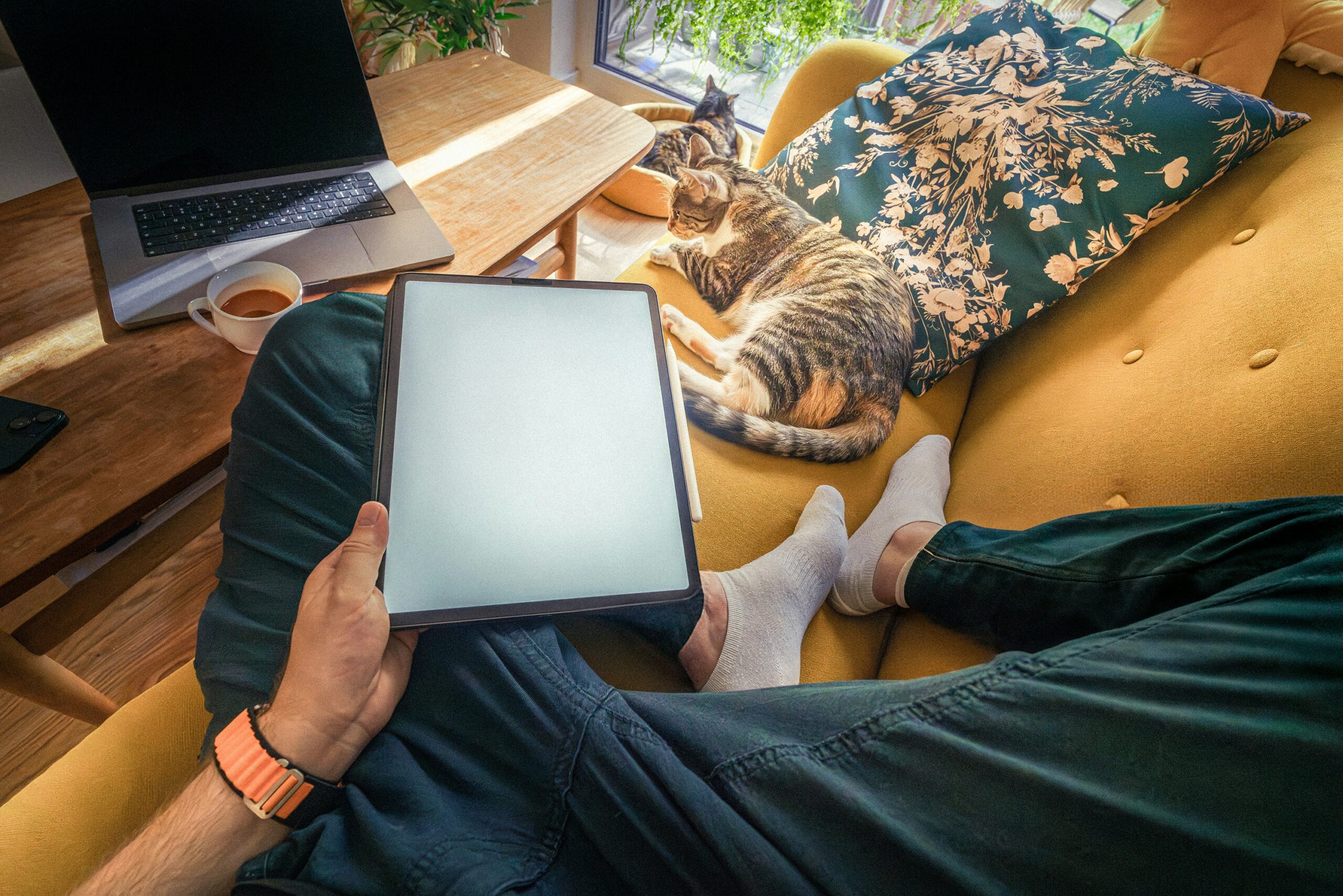 Aplicativos Imperdíveis para Cuidar Melhor dos Seus Pets 1 Aplicativos Imperdíveis para Cuidar Melhor dos Seus Pets